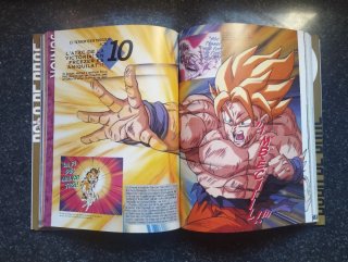 Bola de Drac, Compendi 2 : guia d'animació I