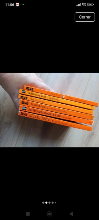 Lote 6 libros "El barco de vapor"