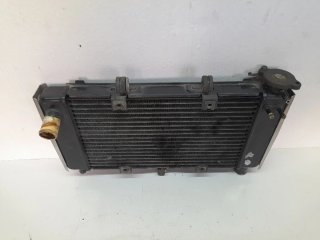 Radiador agua Yamaha Fazer 600 FZ6 S1 04-06