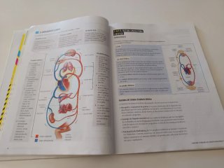 Biología y Geología 3, Secundaria, Fanfest Edel...