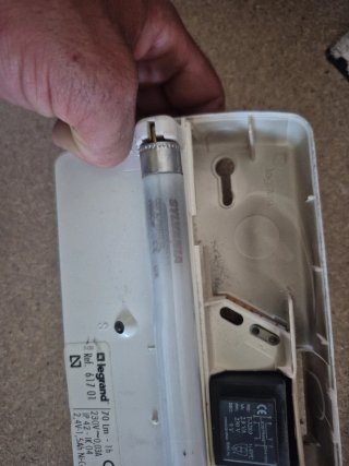 Luz de emergencia Legrand IP42 IK04