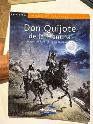 DON QUIJOTE DE LA MANCHA