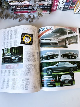 Libro Skyline GTR Gold Cartop Mook
