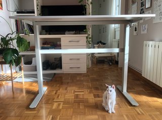 Mesa escritorio elevable Jysk gris/blanco