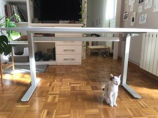 Mesa escritorio elevable Jysk gris/blanco