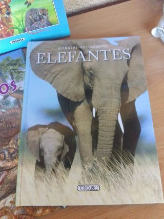 Todas las respuestas sobre la vida de los animales