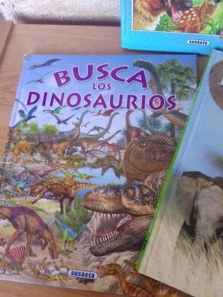 Todas las respuestas sobre la vida de los animales