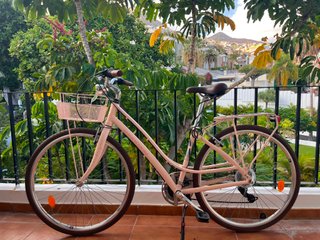 Bicicleta Paseo Talla M Rosa Pastel