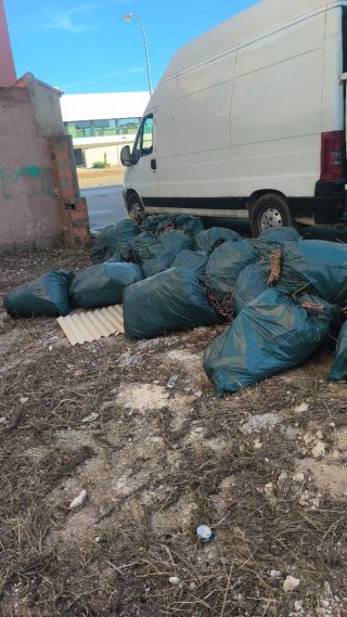 Bolsas de poda