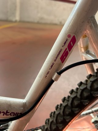Bicicleta de adulto/ENTREGA EN MANO