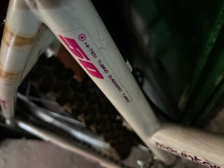 Bicicleta de adulto/ENTREGA EN MANO