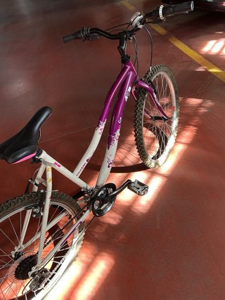 Bicicleta de adulto/ENTREGA EN MANO
