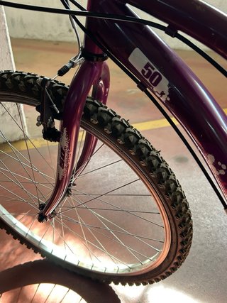 Bicicleta de adulto/ENTREGA EN MANO