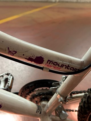 Bicicleta de adulto/ENTREGA EN MANO
