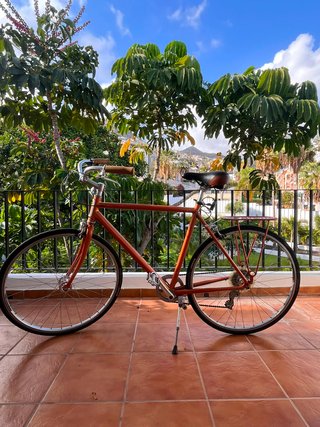 Bicicleta GLOBE Vintage Talla L Cobre