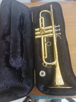 Trompeta Honsuy con funda