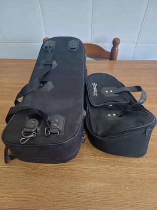 Trompeta Honsuy con funda