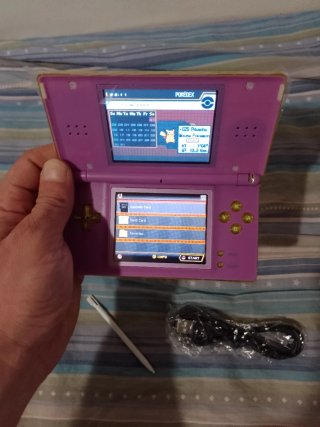 Nintendo DS Lite Custom + 1340 Giochi