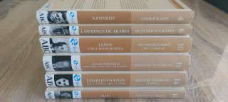 Lote libros