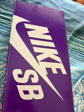 Nike SB Zapatillas