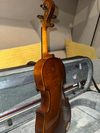 Viola Stentor Student I