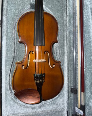 Viola Stentor Student I