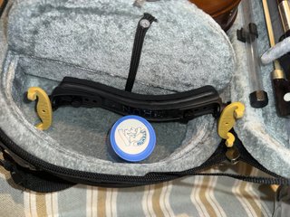 Viola Stentor Student I