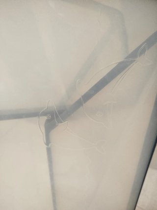 Bañera Bebé Plegable Transparente Stokke