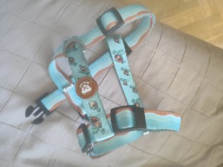 Arnés para perro Dukier con tortugas M