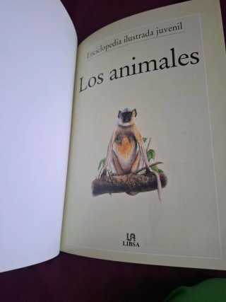 Libro Los Animales Enciclopedia Ilustrada Juvenil