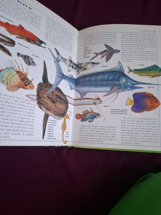Libro Los Animales Enciclopedia Ilustrada Juvenil