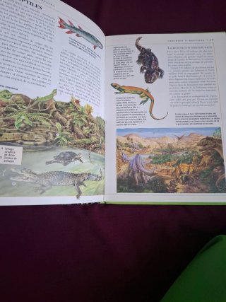 Libro Los Animales Enciclopedia Ilustrada Juvenil
