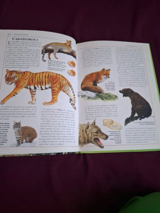 Libro Los Animales Enciclopedia Ilustrada Juvenil
