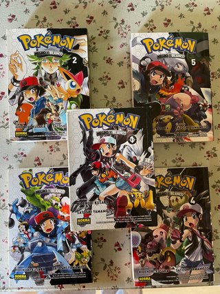 Manga Pokemon Negro y Blanco