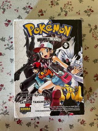 Manga Pokemon Negro y Blanco