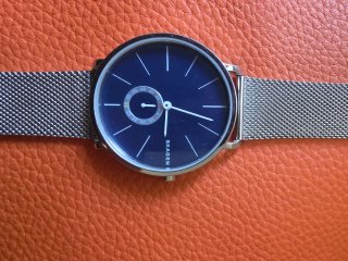 Reloj Skagen Azul y Plateado Mujer