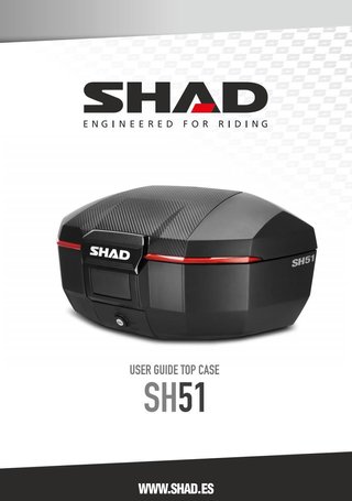 Baul maleta trasera para moto acabado en D901