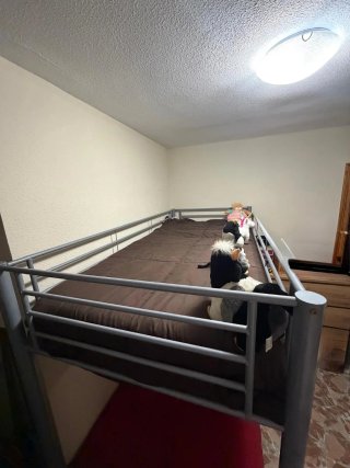 Litera metálica con colchones