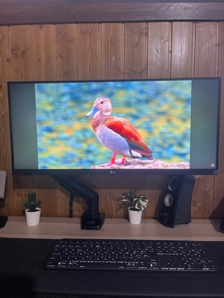 Monitor LG 29 UltraWide 29WP500-B
