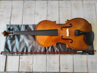 Viola Stentor Student II