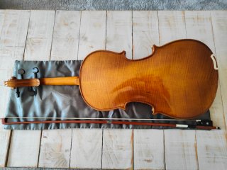 Viola Stentor Student II