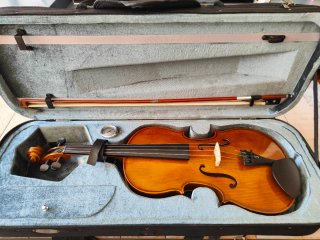 Viola Stentor Student II