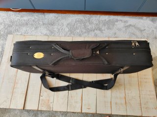 Viola Stentor Student II