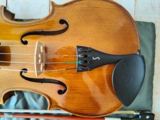 Viola Stentor Student II