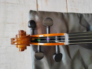 Viola Stentor Student II