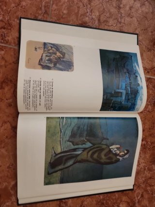 Libro Picasso