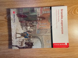 libro grandes esperanzas charles dickens