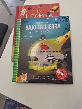 Lote de libros infantiles