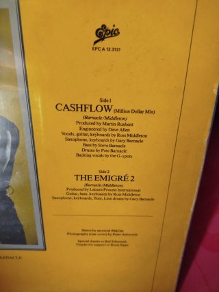Vinilo Leisure Process - Cashflow