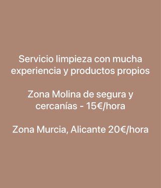 Servicio Limpieza Molina